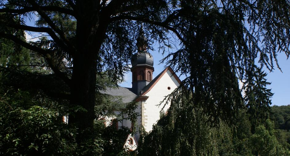 Klosterkirche vom Park