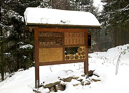 Lehrstation Insekten und Nistpl?tze