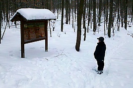 Lehrtafel Waldboden