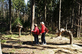 Lehrstation Wurzeln