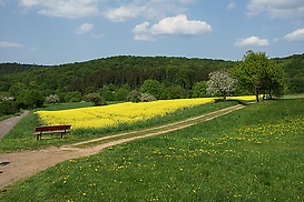 Gabelung am Kulturlandschaftspfad