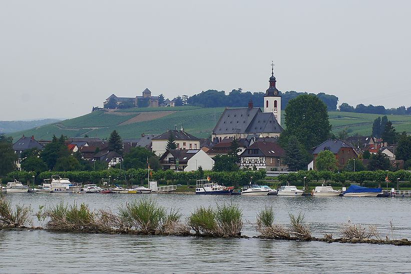 Blick auf Winkel vom Rhein