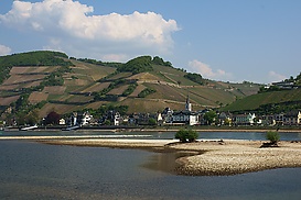 Assmannshausen vom Radweg