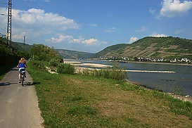 Rhein-Radweg bei Nieder-Heimbach