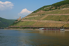 Ruine Ehrenfels am Eingang zum Weltkulturerbe