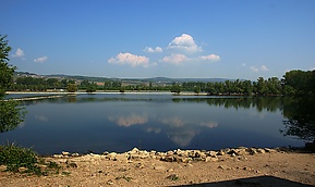 Rheinufer zwischen Ingelheim und Bingen