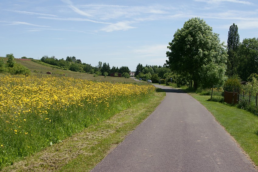 Radweg hinter Weinsheim