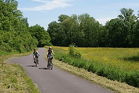 Radweg hinter Weinsheim