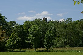 Die Burg von Burgsponheim