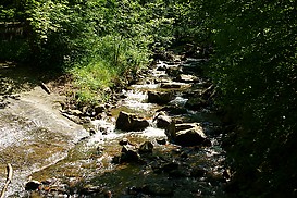 Graefenbach bei Dalberg