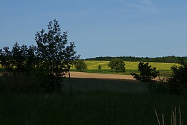 Licht und Schatten bei Allenfeld