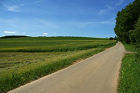 Radweg nach Allenfeld