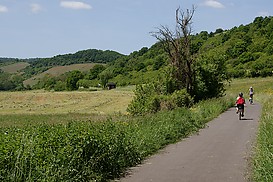 Radweg hinter Burgsponheim