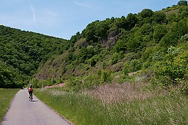 Radweg vor Bockenau