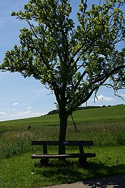 Rastplatz vor Allenfeld