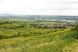 Blick auf Dromersheim und das Nahetal