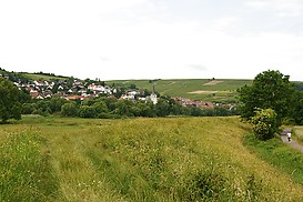 Laubenheim vom Naheradweg