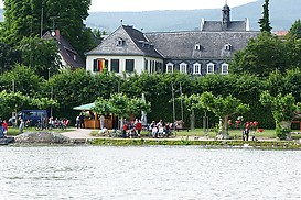 Weinprobierstand Mittelheim