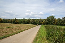 Radweg hinter Stadecken-Elsheim