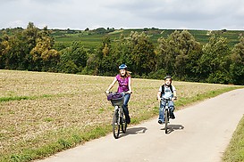 Radweg hinter Stadecken-Elsheim