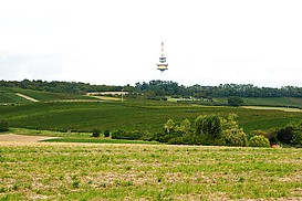 Blick auf Essenheimer Fernsehturm