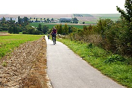Radweg nach Essenheim