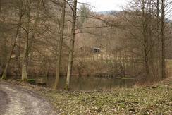 Kleiner Waldsee am Wegrand