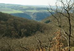 Blick auf Rhein und Hunsr?ck