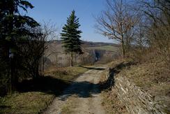 Rheinsteig in den Steillagen von Lorchhausen