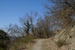 Weg in das Schenkelbachtal