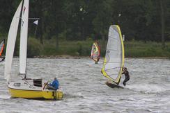  windsurfer auf rhein 1 1