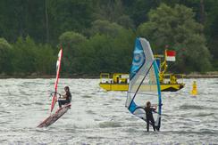 Windsurfen auf dem Rhein