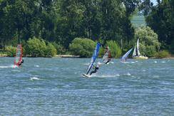  windsurfer auf rhein 2