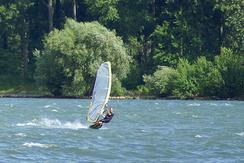  windsurfer auf rhein 3