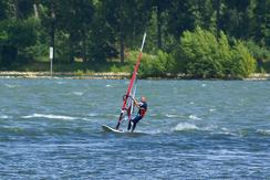  windsurfer auf rhein 4