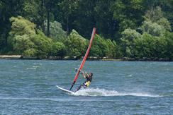  windsurfer auf rhein 5