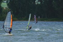  windsurfer auf rhein 8