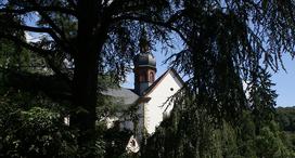 Klosterkirche vom Park