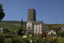 Die Ober- oder Boosenburg von der Rheinseite