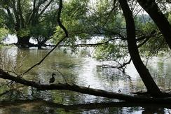 Naturbelassenes Ufer