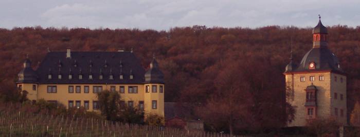 Schloss Vollrads