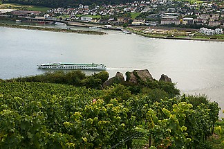 Binger Hafen vom Ramstein