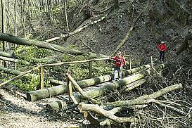 Auf Br?cke mit Windbruch