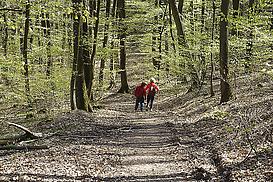 Auf dem Weg zum Schweizerhaus