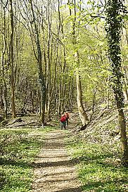 Am Einstieg in die Kreuzbachklamm Am Einstieg in die Kreuzbachklamm