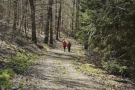 Auf dem Weg zum Schweizerhaus