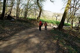 Waldweg hinter Schweizerhaus