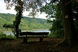 Aussichtspunkt am Aufstieg zur Sch?nburg