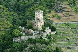 Burg Gutenfels vom Sauzahn