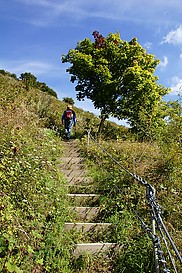 Treppe ?ber Bacharach